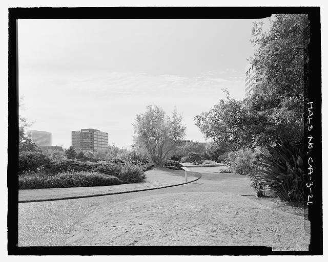 ALTERNATE VIEW OF EAST WALKWAY AND PLANTINGS. LOOKING...
