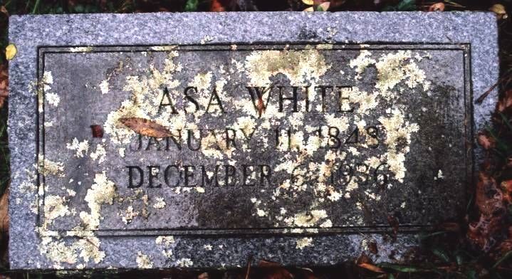 Asa White's Tombstone