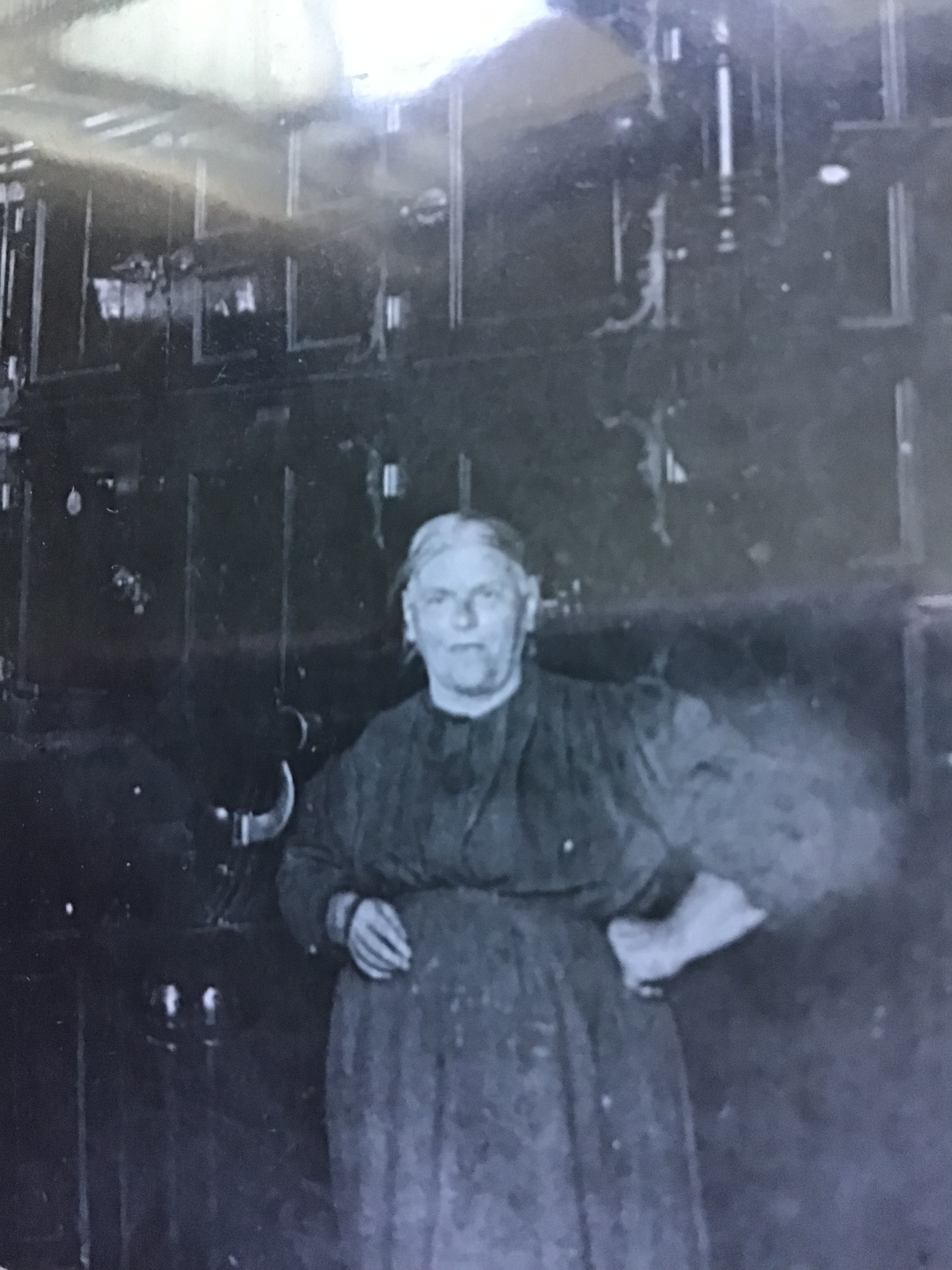 Teresa DeStefanis