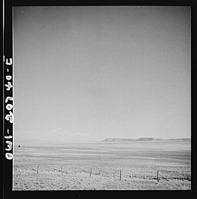 [Untitled]