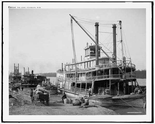 The Levee, Vicksburg, Miss.