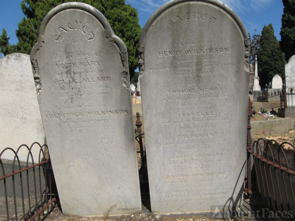 Wilkinson family Headstones