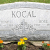 Anthony Kocal
