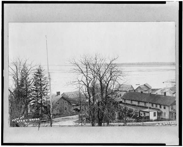 View at Stony Brook / A.S. Greene.