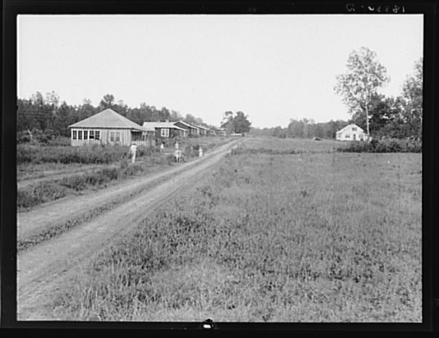 Delta cooperative farms in 1938. Hillhouse, Mississippi