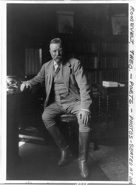 Theodore Roosevelt in his library, Oyster Bay, N.Y.