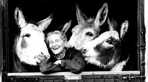 Elisabeth Knowles Svendsen, MBE