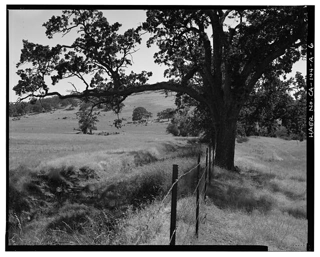 6. Earthen banked ditch and view of fields to south -...
