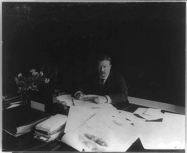 [Theodore Roosevelt, seated at desk, looking up]