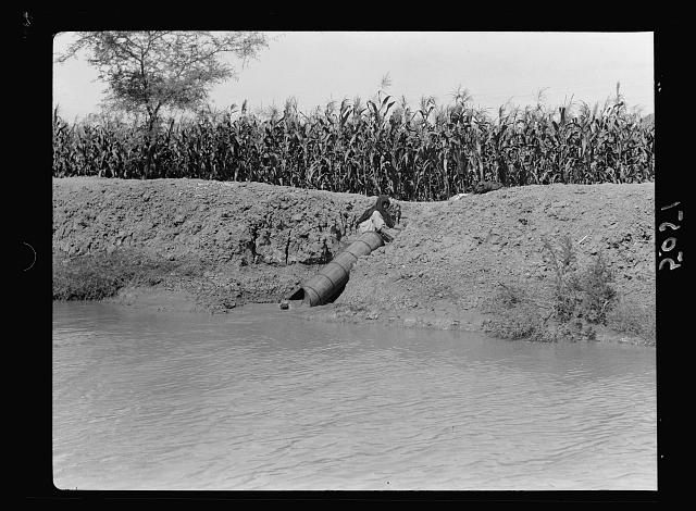 Agriculture in Egypt. Primitive irrigation. A spiral tube...