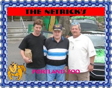 Three generations of Netricks