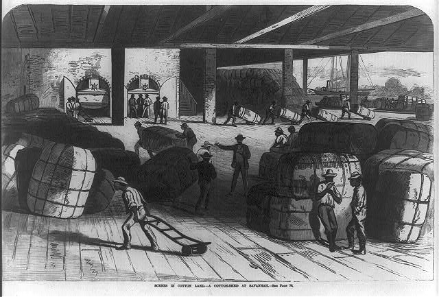 Scenes in cotton land: A cotton-shed at Savannah [Negro...