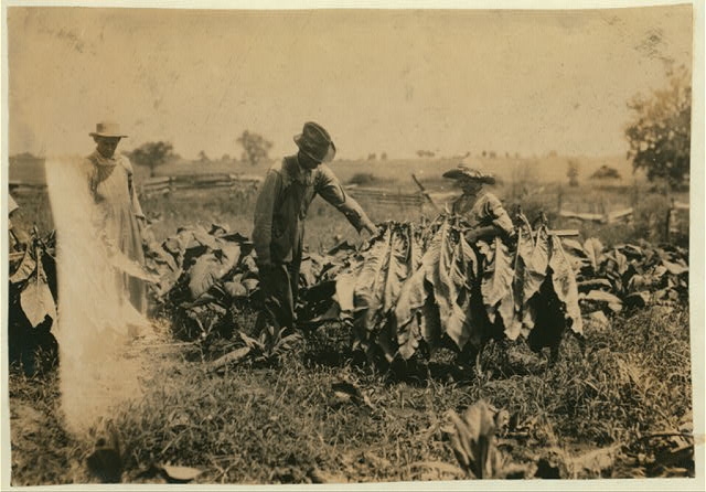 Jo Oliphant, R.D. 3, Bowling Green, holding stick for...