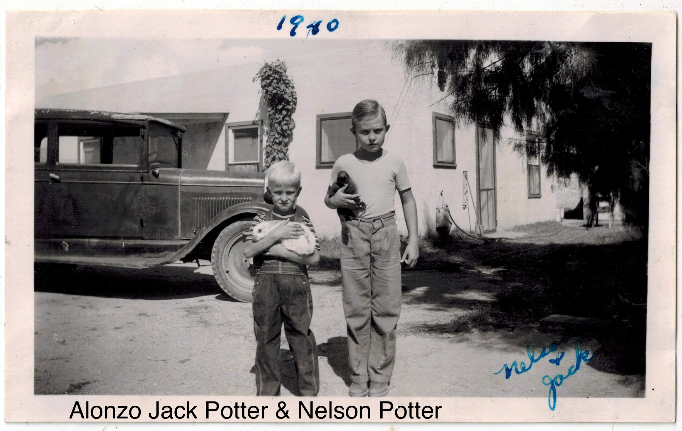 Henry Nelson Potter
