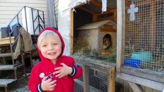Wyatt And The Bunny