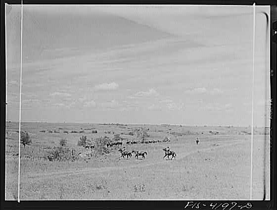 Fort Riley, Kansas. Cavalry coming across country during...