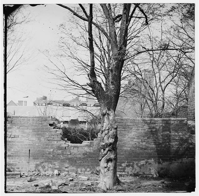 Petersburg, Virginia. Damage to garden wall