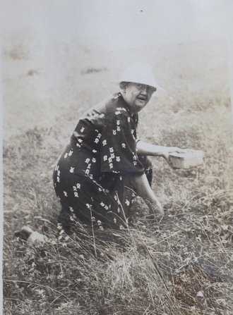 Bessie Vaughn (Staples) Haase-Grammie Bess picking berries--1946 saco, maine