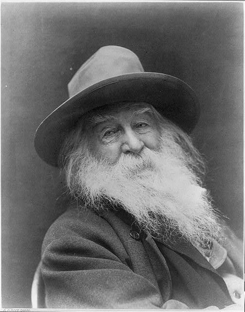 [Walt Whitman, three-quarter length portrait, seated,...
