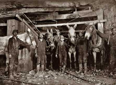 Hinney Drivers, Brow Mine Virginia - 1908