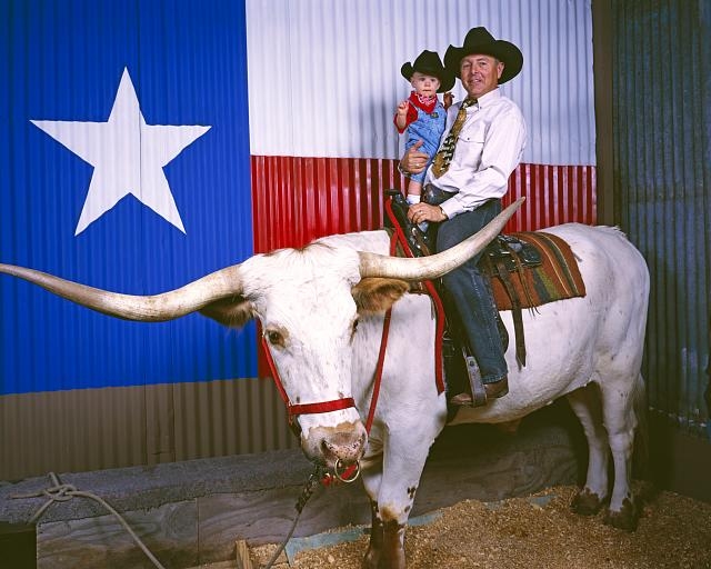 Cowboy and his grandson on a Longhorn at the Houston...
