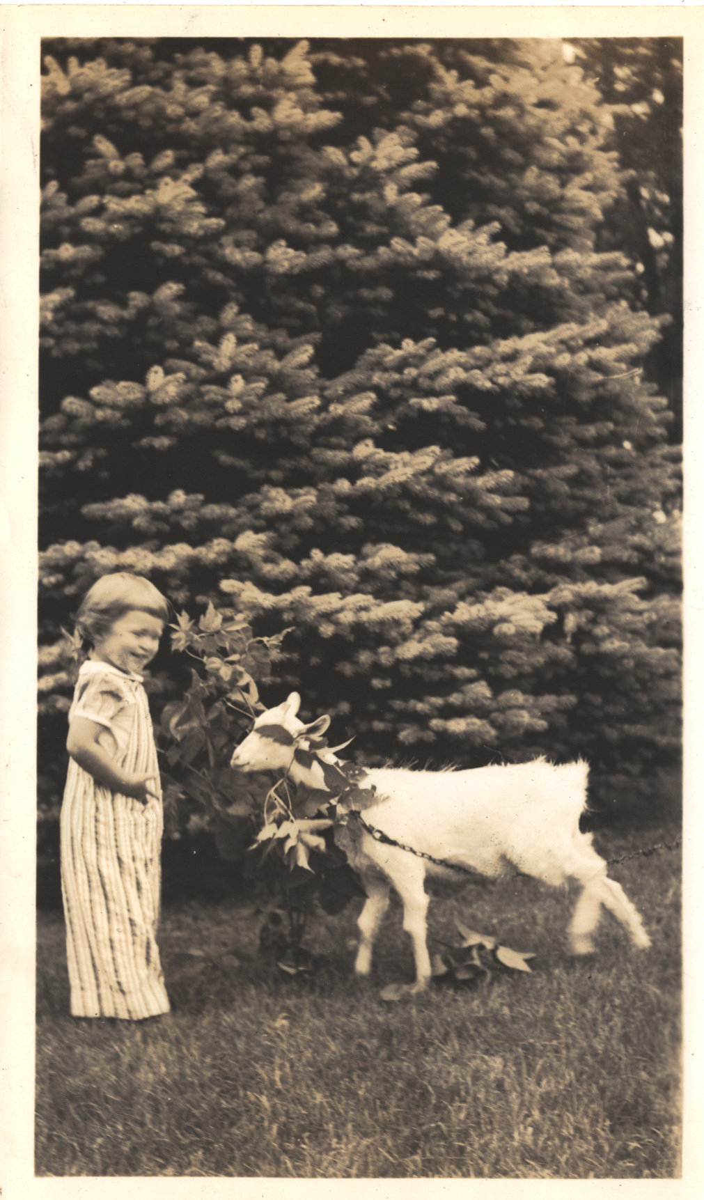 Child and a goat