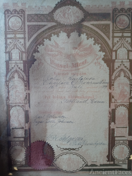 Marriage Certificate 1889 John & Charlotte Anderson