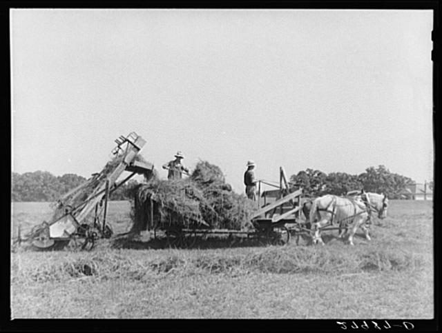Automatic hay-loader. Maxwell farm, Jasper County, Iowa