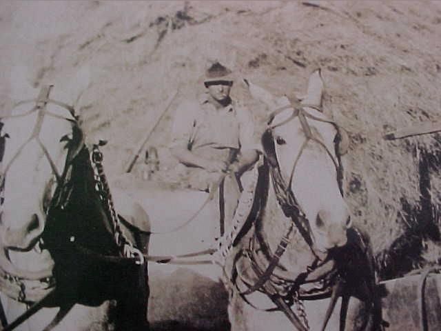 Man with horse and wagon