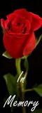 A Rose was left by Pamela Howlett.