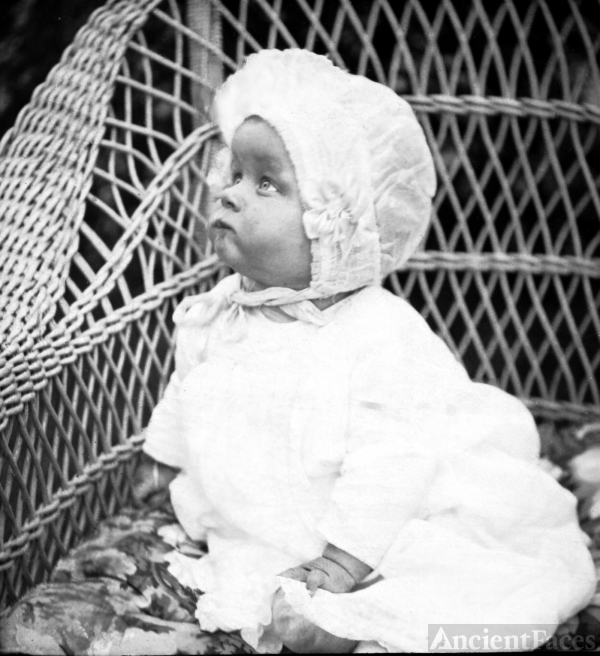 Anita Behnke Sears