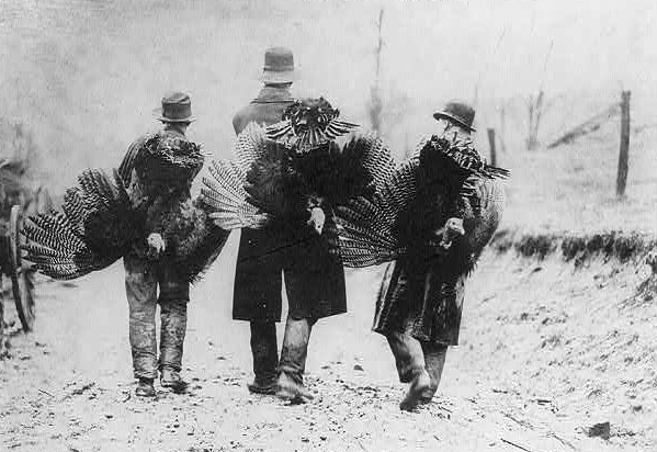 Turkey Raffle 1912