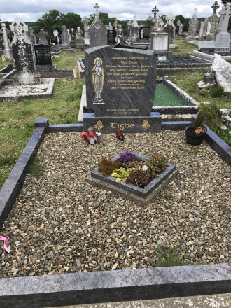Des & Frances (O'Hehir) Tighe--gravestone 20 jun 2018
