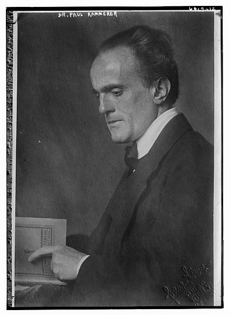 Dr. Paul Kammerer